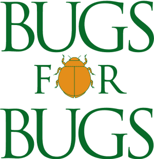 Bugs for Bugs logo with orange beetle between green text