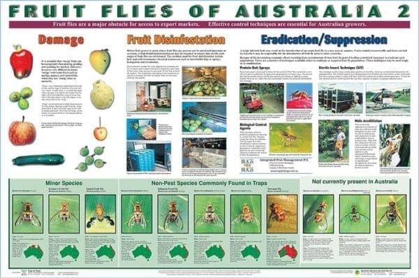 Fruit flies of Australia poster 2