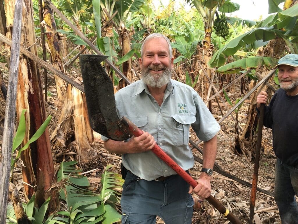 Dan Papacek in a banana crop