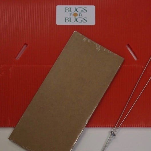 Delta Sticky Trap (Pack of 3)