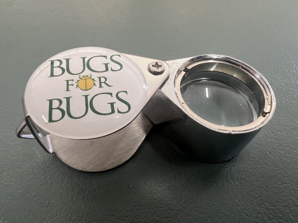 Hand Lens Insects Handlens (10x magnification) | Bugs For Bugs
