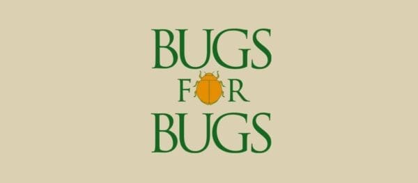 Bugs for bugs